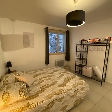 Апартаменты Petit Cocon De Centre-ville